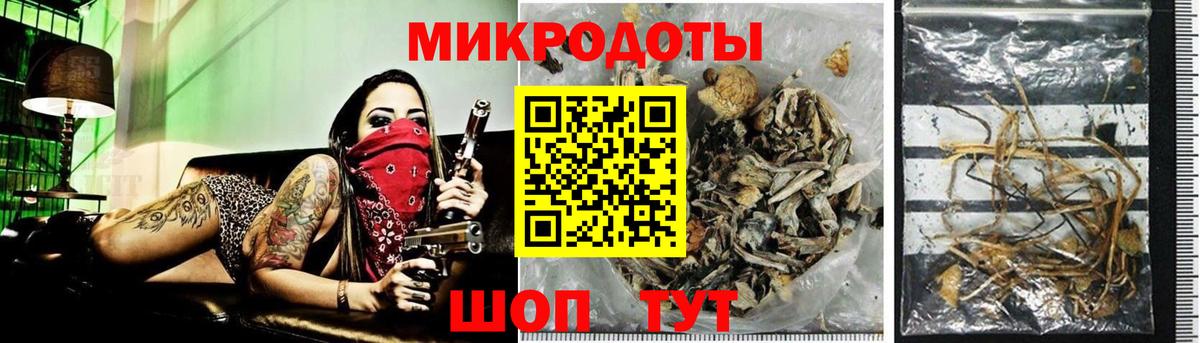 Псилоцибиновые грибы Psilocybine cubensis Унеча