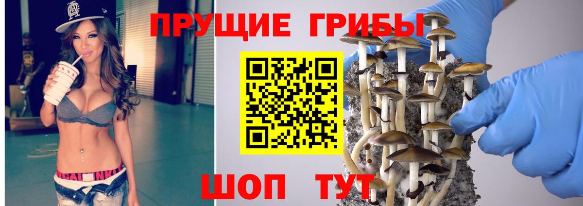 Унеча  Псилоцибиновые грибы ЛСД  Вход с VPN  Галлюциногенные грибы Cubensis 